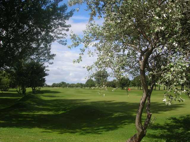 Tynemouth Golf Club - photo 3