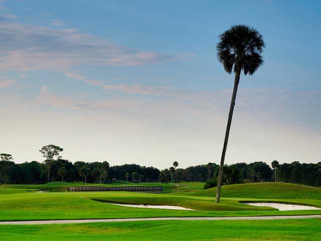 Jacksonville Beach Golf Course - photo 5