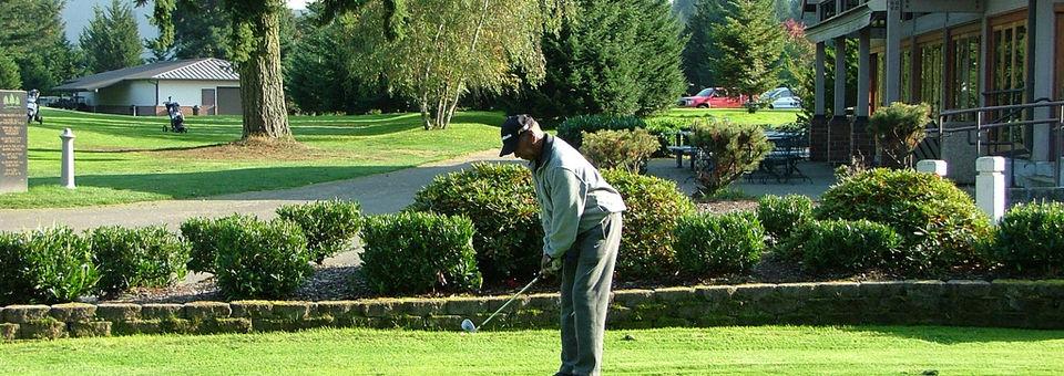 Whispering Firs Golf Course - photo 6