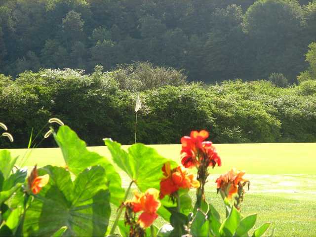 Valley Green Golf & Country Club - photo 1