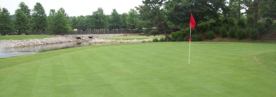 Lakeside Village Golf & Athletic Club - photo 4