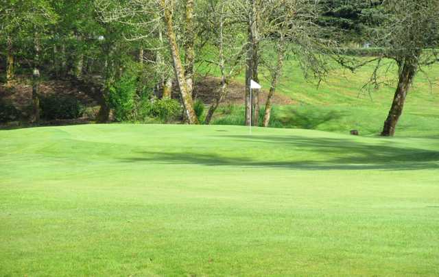 Newaukum Valley Golf Course - photo 3