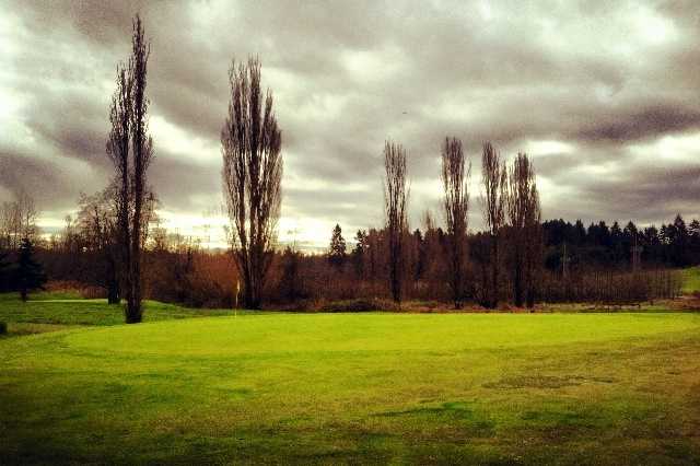 Tyee Valley Golf Course - photo 2