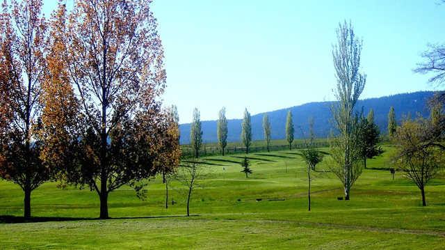 Grangeville Country Club, Inc. - photo 3