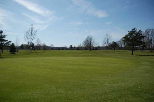 Bronzewood
