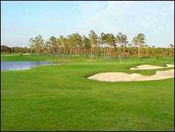 Sandpiper Bay Golf and Country Club - photo 8