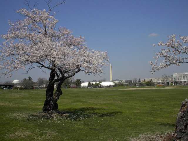 East Potomac Golf Links- Red Course