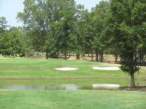 Cypress