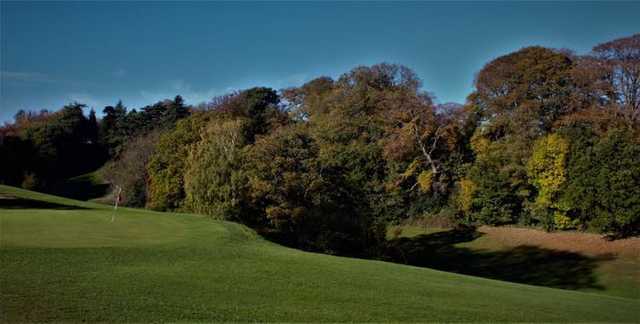 Flint Golf Club - photo 2