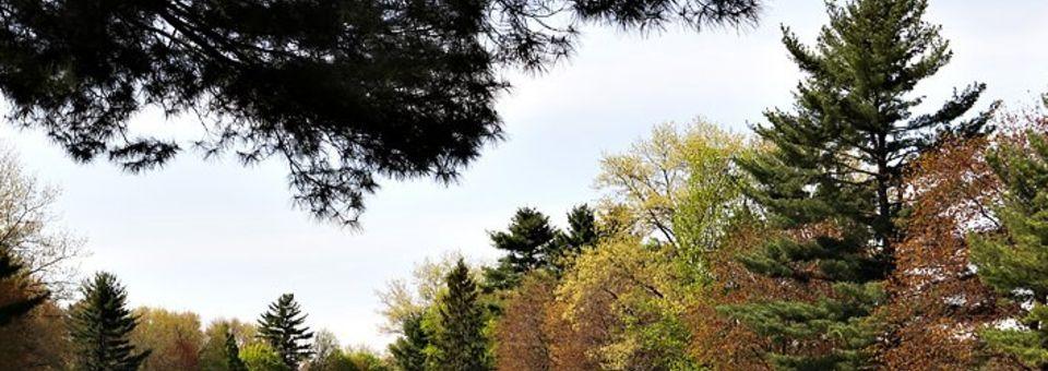 Westover Golf Course - photo 2