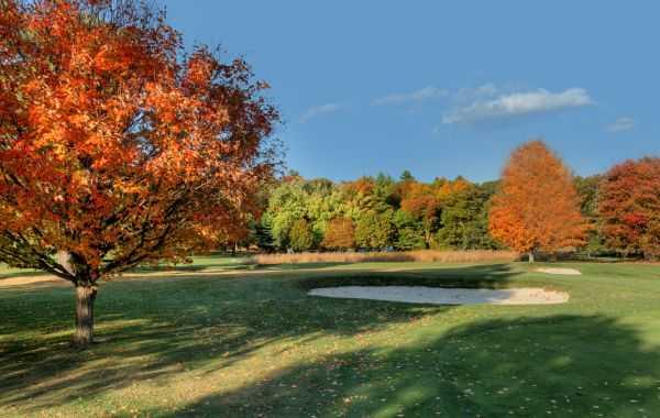 Weston Golf Club - photo 4