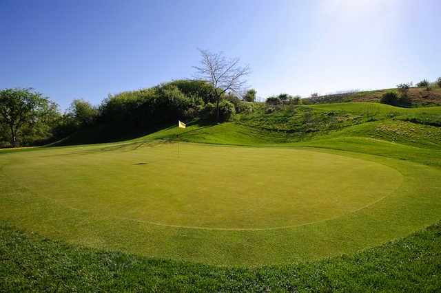 Royal Woodbine Golf Club - photo 7