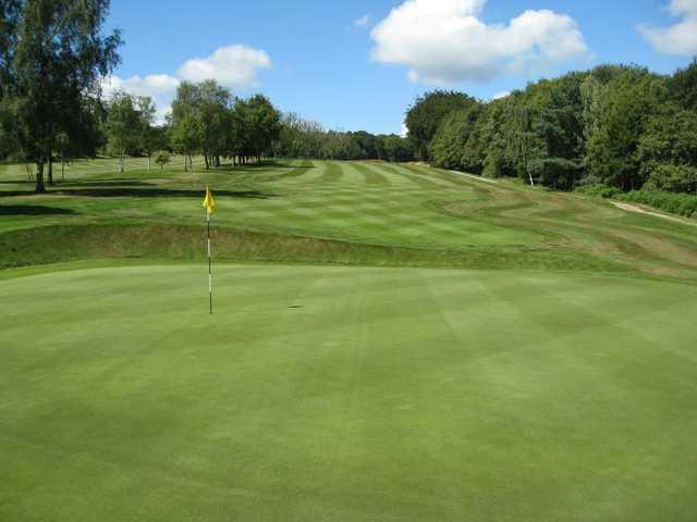 Hillsborough Golf Club - photo 3