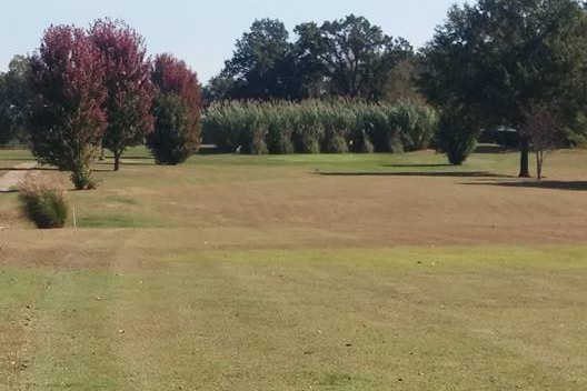 Countryside Public Golf Course - photo 2