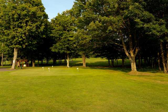 Ford Hill Country Club - photo 2