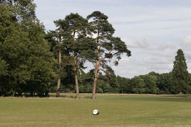Luton Hoo Hotel, Golf, & Spa - photo 8