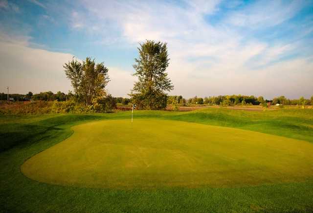 Innisfil Creek Golf Club - photo 8