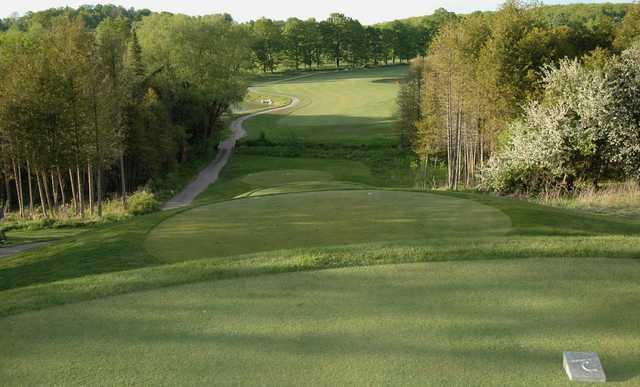 Tangle Creek Golf Club - photo 4
