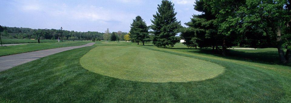 Ohio University - 9 Holes Course - photo 7