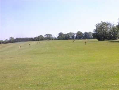 Frankfield