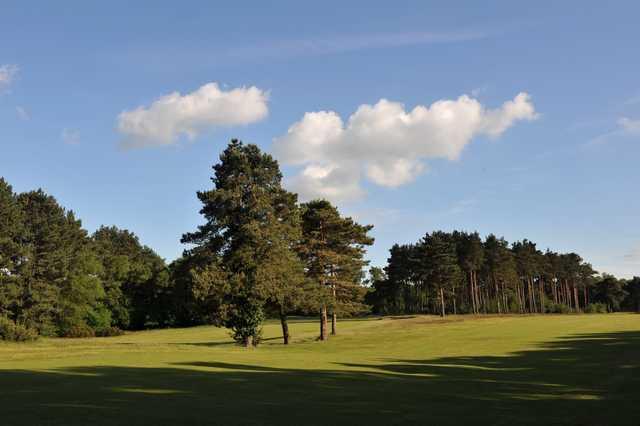 Ipswich Golf Club The Bixley Course - photo 5