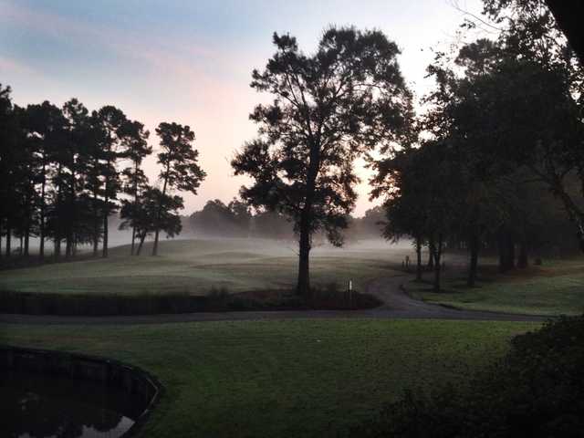 Meadowlands Golf Club - photo 3