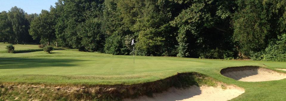 Holtye Golf Club - photo 5