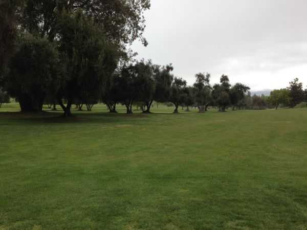 Calimesa Country Club - photo 2
