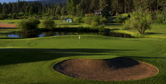 Graeagle Meadows - photo 3