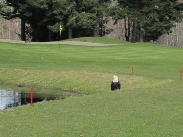 Storey Creek Golf Club - photo 3