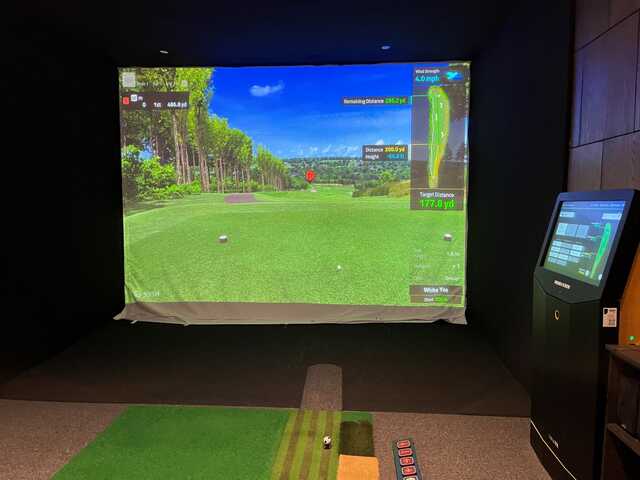 Under Par Indoor Golf - photo 4