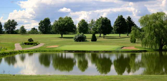 Lone Oak - photo 2