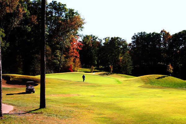 Hickory Ridge - photo 6