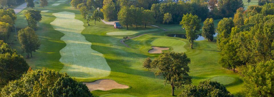 Lynx GC - photo 6