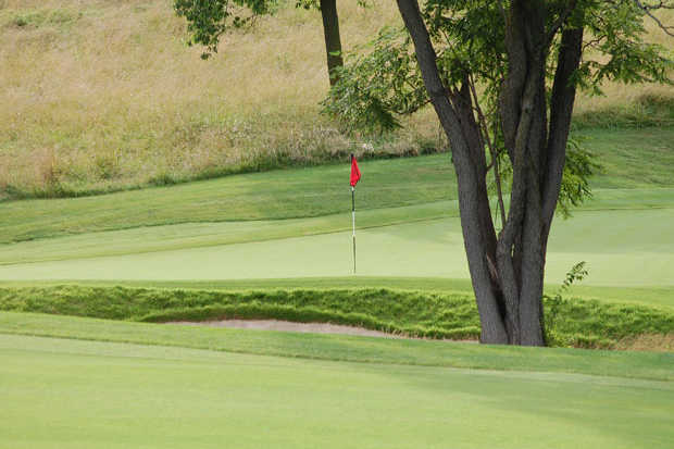 Hallbrook Golf Club - photo 4
