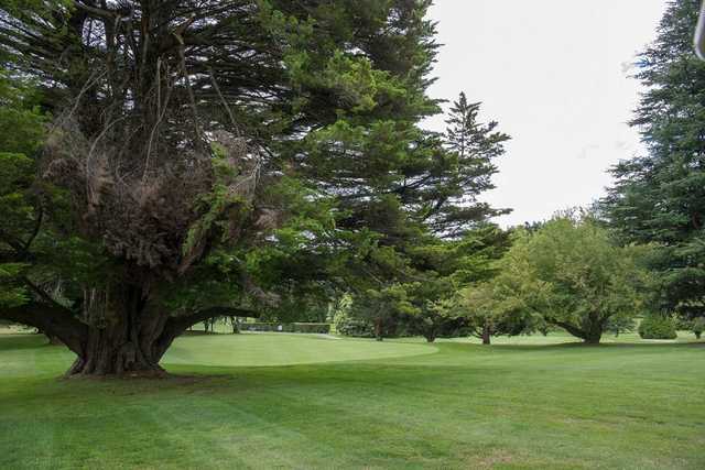 Blackheath Golf Club - photo 5