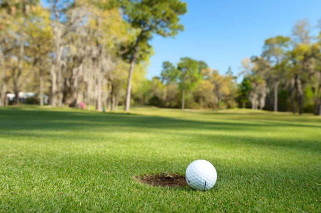 Rolling Greens Resort Executive Golf Course - photo 2