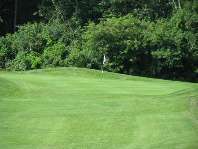 Polish Pines Country Club - photo 3