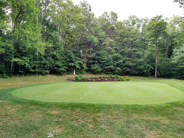 Twin Oaks Golf Course - photo 4