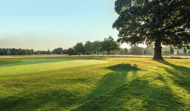 Stockwood Park Golf Centre - photo 6