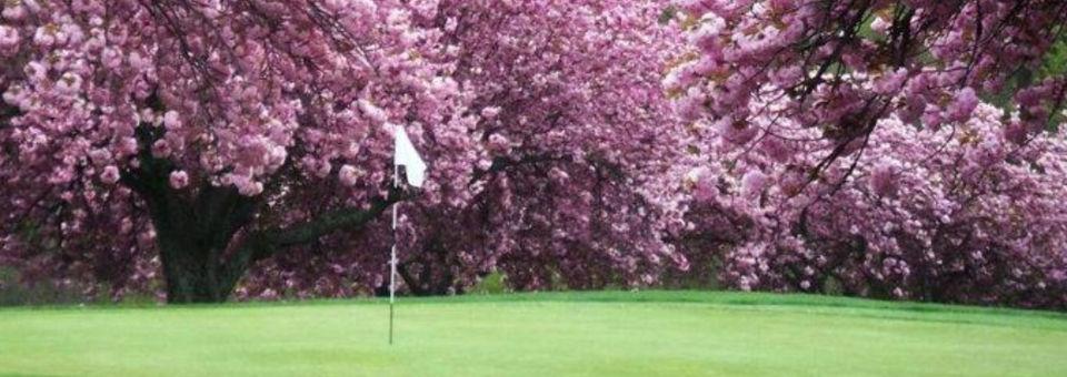 Mountain View Golf Course - photo 3