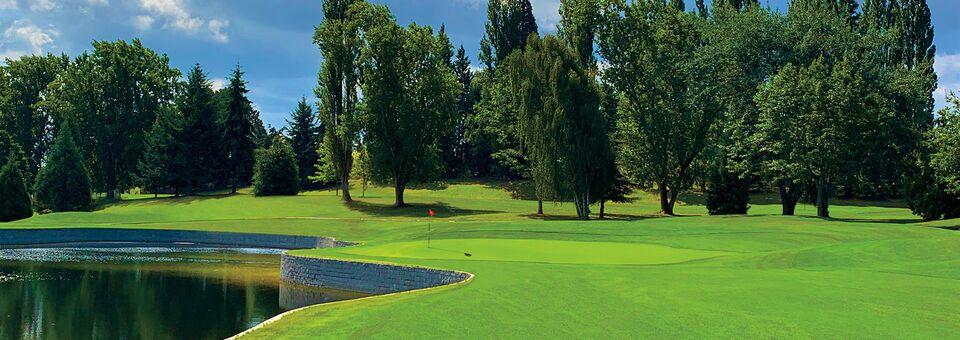 Legion Memorial Golf Course - photo 1