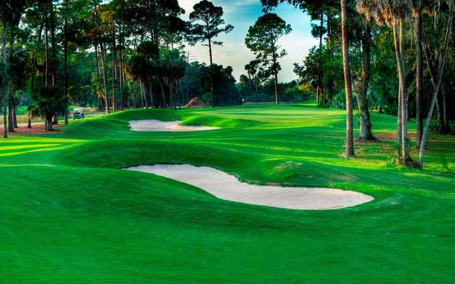Palm Harbor Golf Club - photo 4
