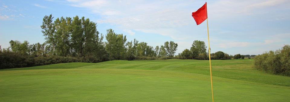 Country Drive Golf Course - photo 6