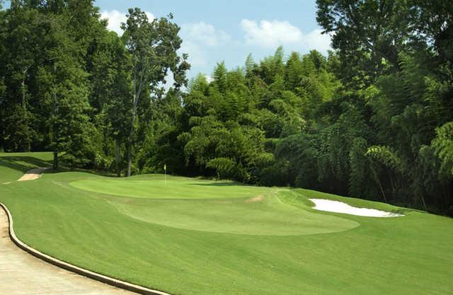 Charlie Yates Golf Course - photo 3