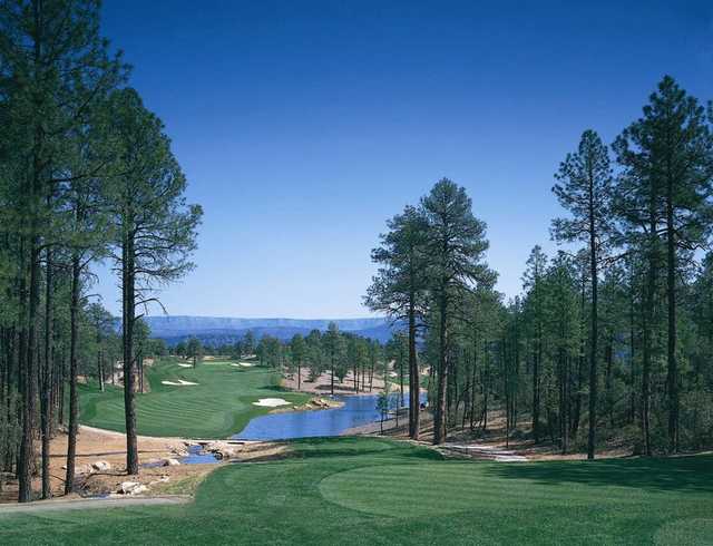 The Rim Golf Club - photo 6