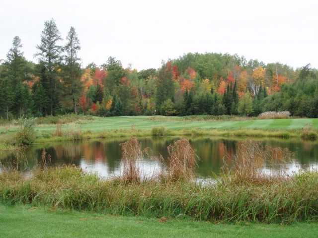 Pinewood Country Club - photo 4