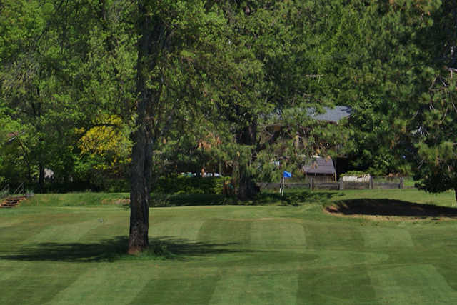 Mace Meadow Golf Course - photo 6