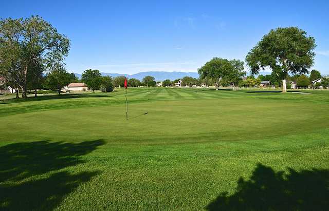 Desert Hawk At Pueblo West - photo 2