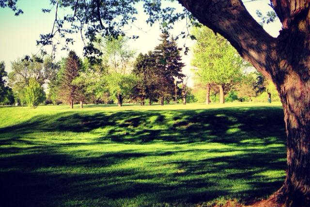 Four Lakes Country Club - photo 3